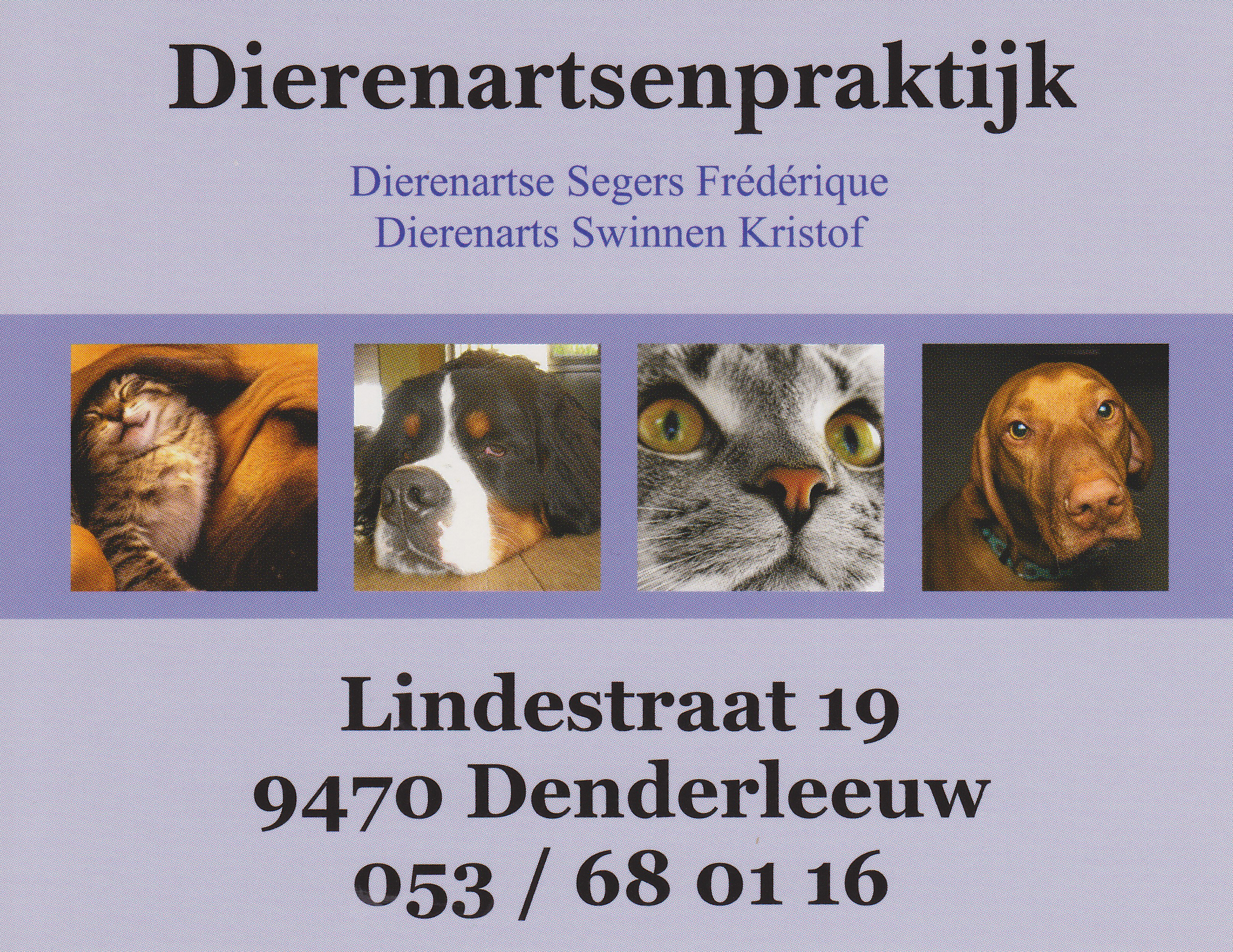 Dierenartsenpraktijk Swinnen-Segers Denderleeuw