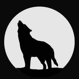 Wolf Worwear Geel GEEL