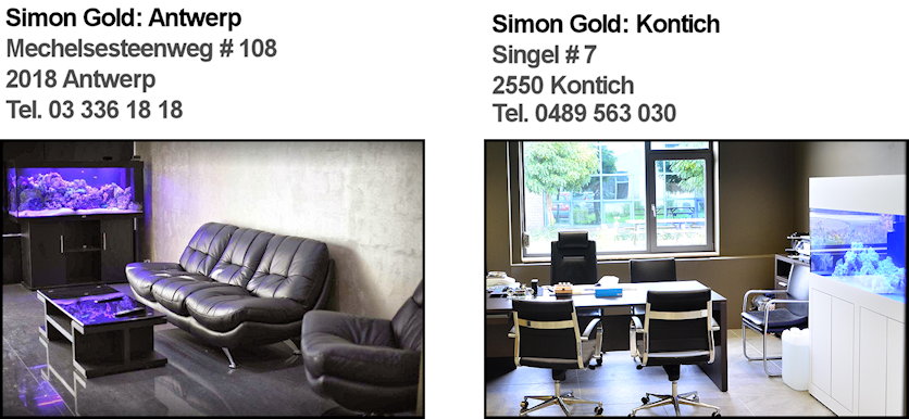 Simon Gold Antwerpen